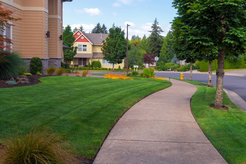 Cement Sidewalk Installation